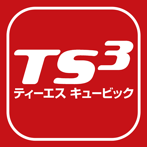 TS3